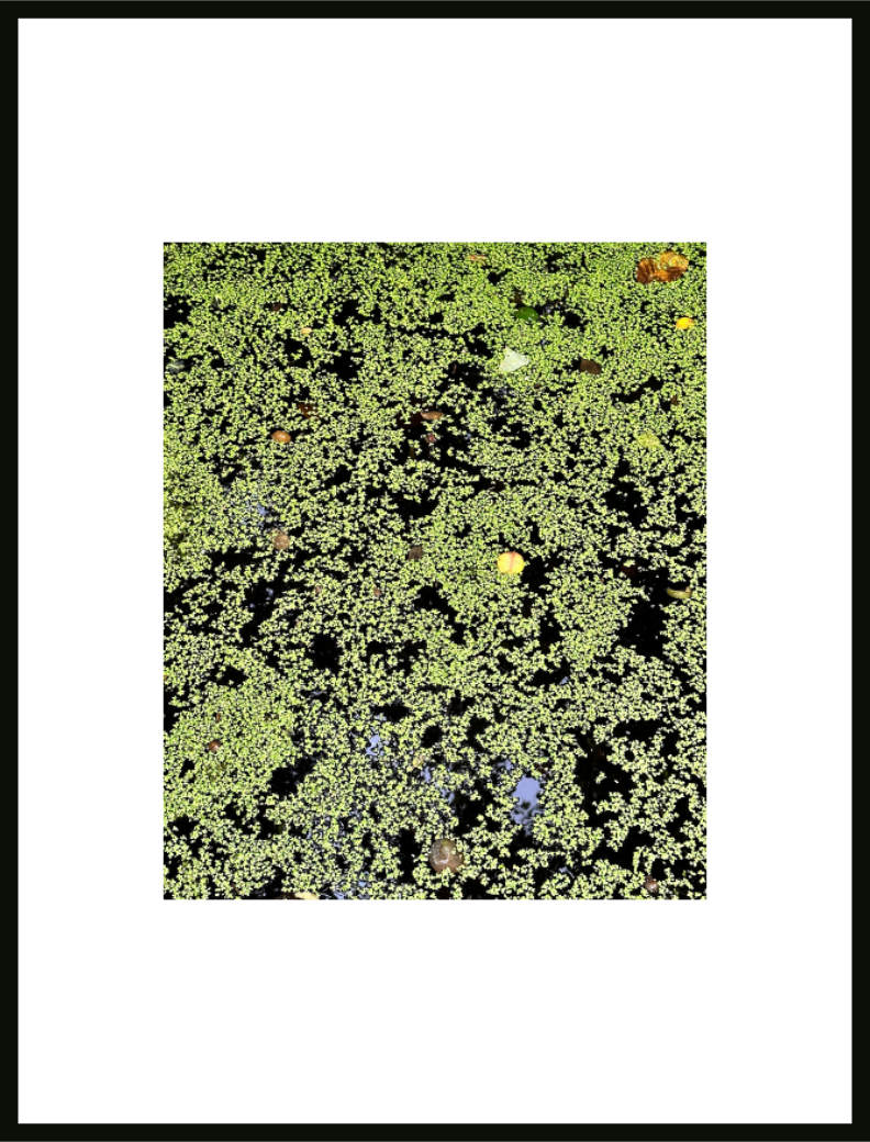Nappe de Jade
